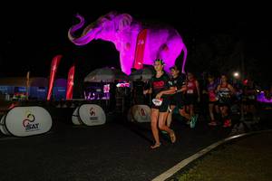 BIB: 
                            <button type="button" onclick="openModal(26535044)" class="btn btn-primary btn-sm float-right btn-popup" data-toggle="modal" data-target=".modal-high-quality">
                        <i class="fas fa-shopping-cart"></i> Add to Cart
                    </button>
                                            <button type="button" onclick="isThisMe(26535044, true)" class="btn btn-success btn-sm float-right btn-popup btn-isme hidden" data-toggle="tooltip" data-placement="bottom" title="นี่คือรูปของคุณใช่ไหม คลิกที่นี่เพื่อเอาเข้าอัลบั้ม">
                        <i class="fas fa-plus"></i> Add to album
                    </button>
                    <button type="button" onclick="isThisMe(26535044, false)" class="btn btn-warning btn-sm float-right btn-popup btn-isnotme hidden">
                        <i class="fas fa-ban"></i> Remove from album
                    </button>